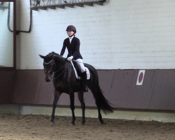 Reitturnier Lembeck-RA Elwermann 2023