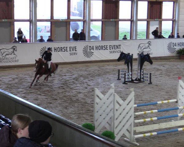 Reitturnier Prussendorf 2023