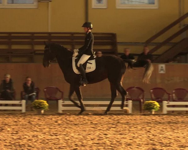 Reitturnier Frechen-Grefrath - Sonnenhof 2023