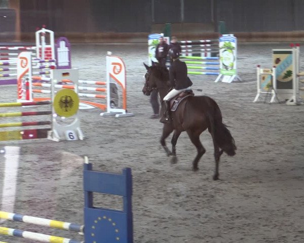 Reitturnier Tremsdorf, Eichenhof 2023
