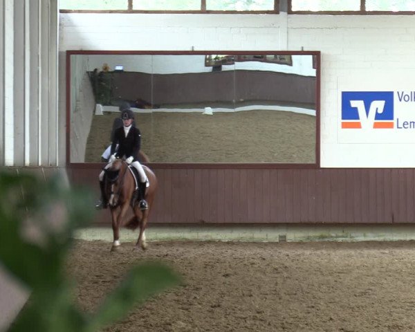 Reitturnier Lembeck-RA Elwermann 2023