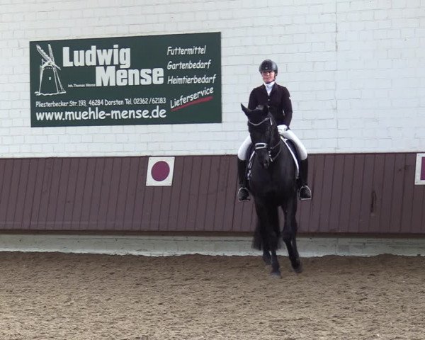 Reitturnier Lembeck-RA Elwermann 2023