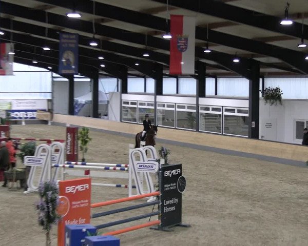 Reitturnier Borken 2023