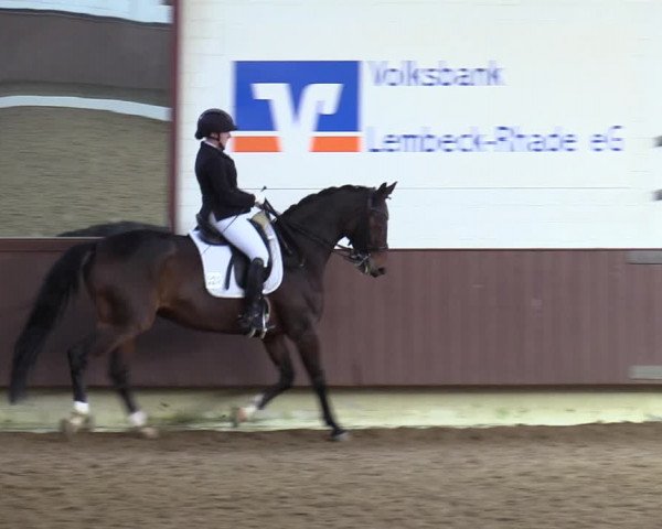 Reitturnier Lembeck-RA Elwermann 2023