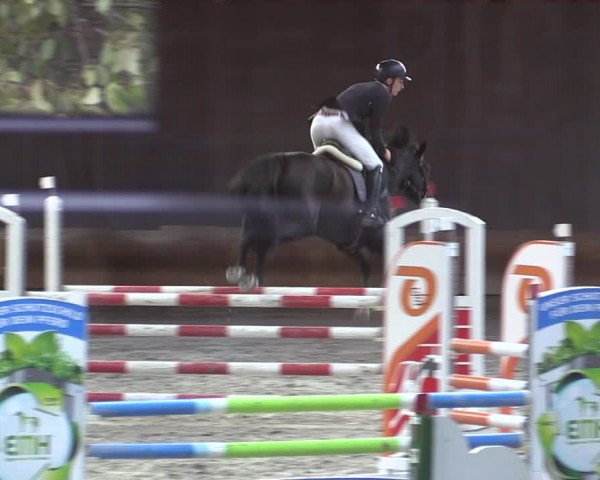 Reitturnier Tremsdorf, Eichenhof 2023