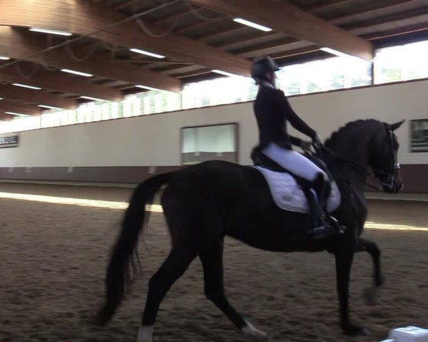 Reitturnier Lembeck-RA Elwermann 2023
