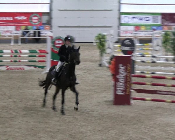 Reitturnier Borken 2023