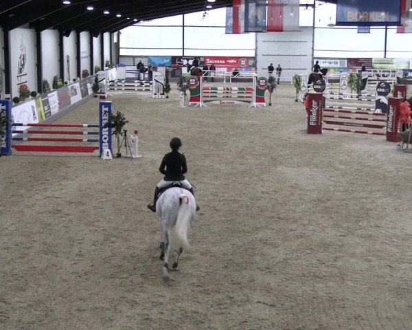 Reitturnier Borken 2023