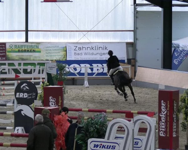 Reitturnier Borken 2023