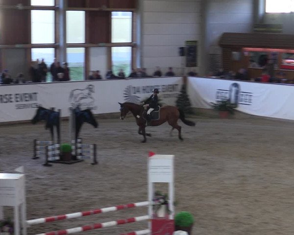 Reitturnier Prussendorf 2023