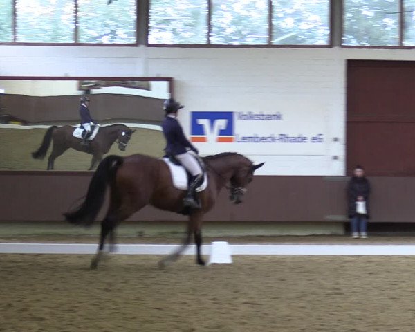 Reitturnier Lembeck-RA Elwermann 2023