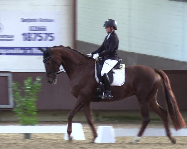 Reitturnier Lembeck-RA Elwermann 2023