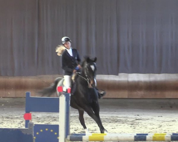 Reitturnier Tremsdorf, Eichenhof 2023