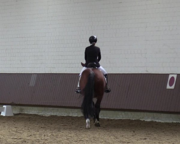 Reitturnier Lembeck-RA Elwermann 2023