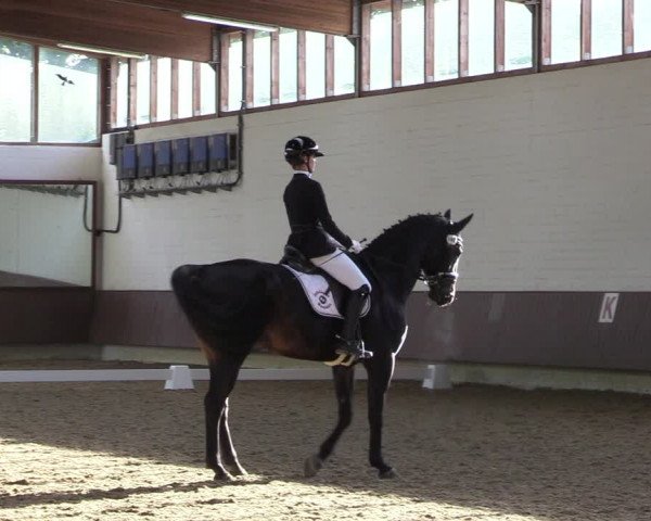 Reitturnier Lembeck-RA Elwermann 2023