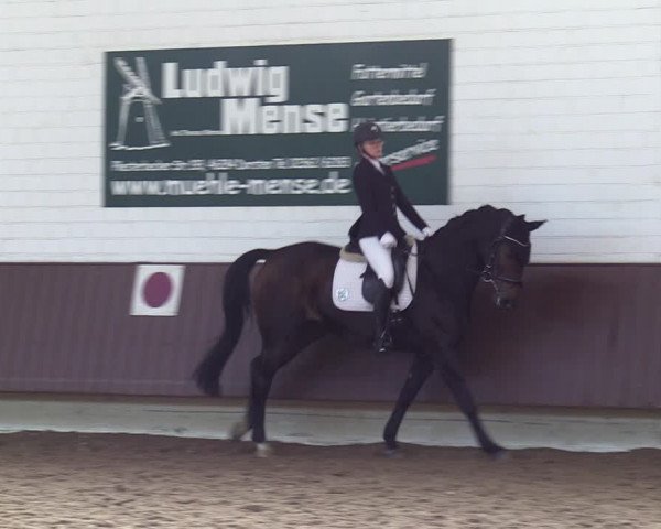 Reitturnier Lembeck-RA Elwermann 2023