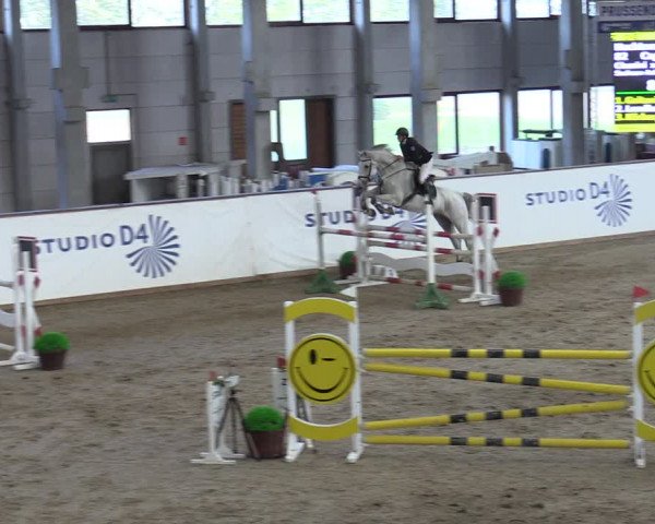 Reitturnier Prussendorf 2023