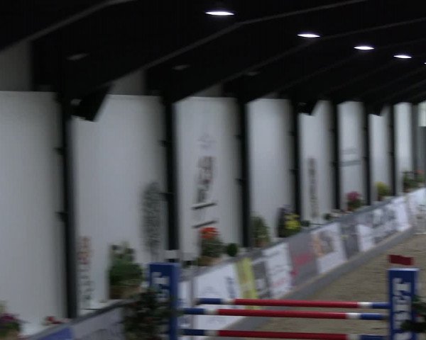 Reitturnier Borken 2023