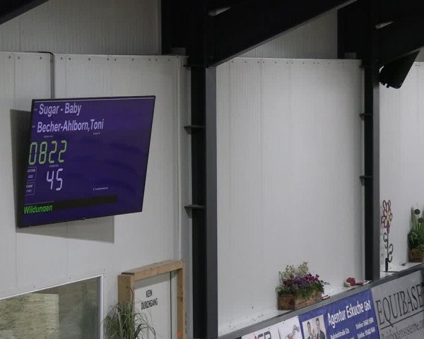 Reitturnier Borken 2023