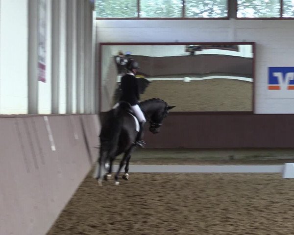 Reitturnier Lembeck-RA Elwermann 2023