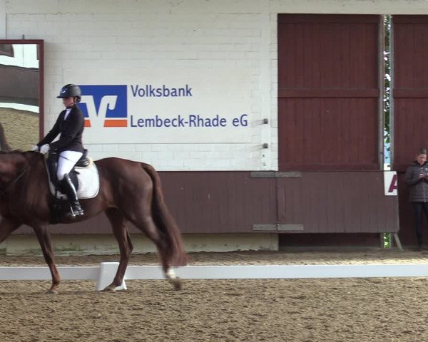 Reitturnier Lembeck-RA Elwermann 2023