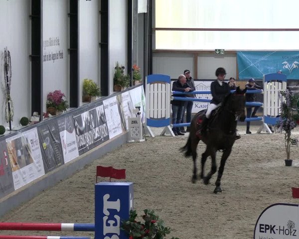 Reitturnier Borken 2023