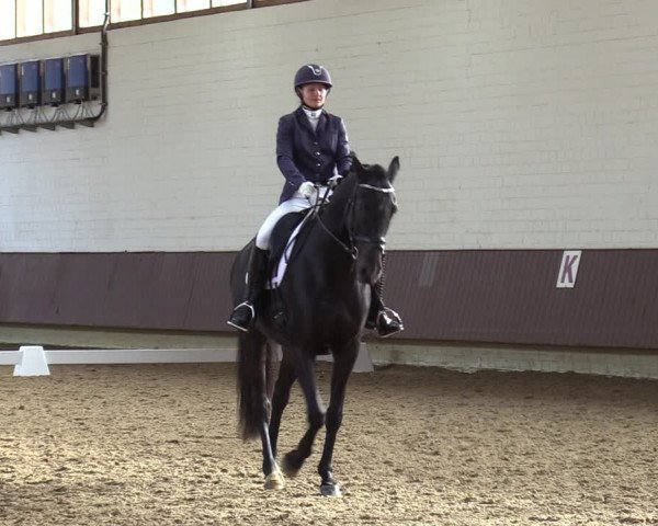 Reitturnier Lembeck-RA Elwermann 2023