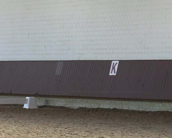 Reitturnier Lembeck-RA Elwermann 2023