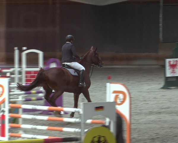 Reitturnier Tremsdorf, Eichenhof 2023