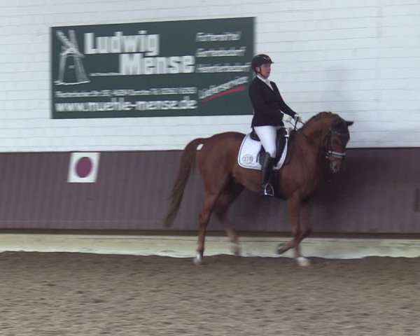 Reitturnier Lembeck-RA Elwermann 2023