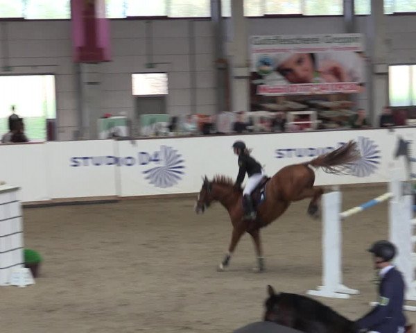 Reitturnier Prussendorf 2023