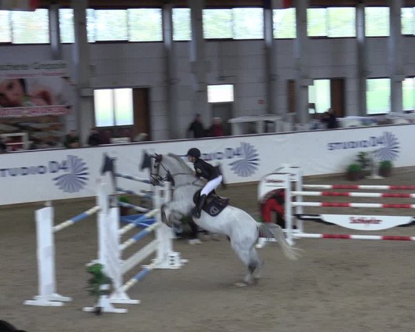 Reitturnier Prussendorf 2023