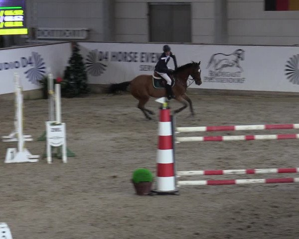 Reitturnier Prussendorf 2023