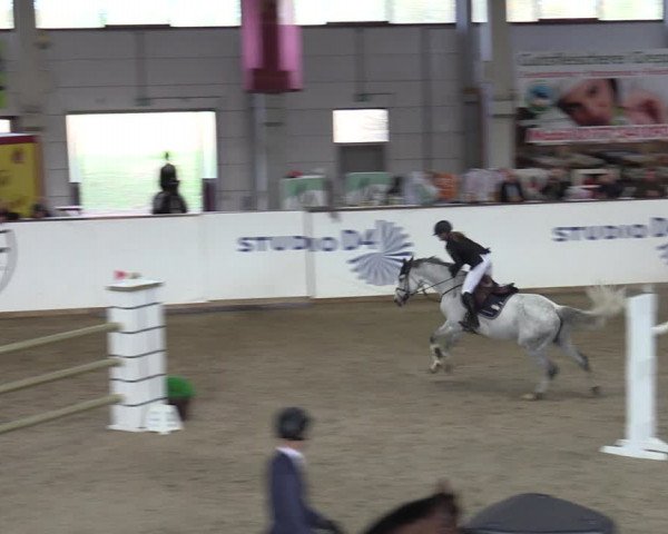Reitturnier Prussendorf 2023
