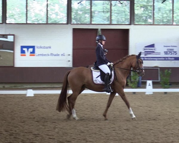 Reitturnier Lembeck-RA Elwermann 2023