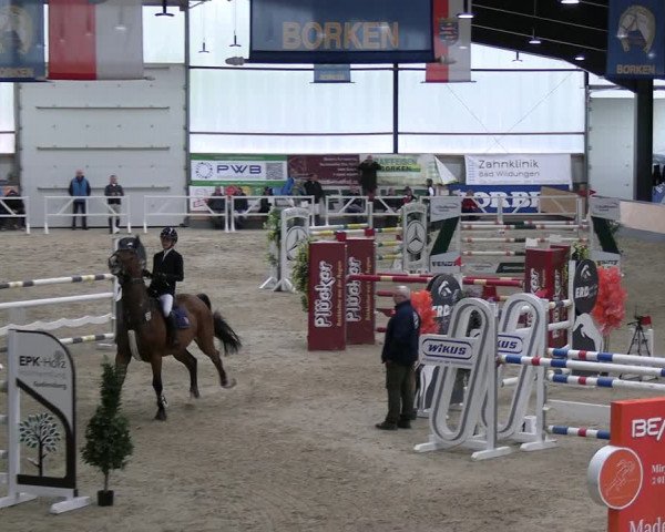 Reitturnier Borken 2023