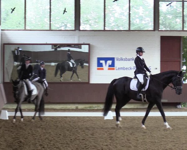 Reitturnier Lembeck-RA Elwermann 2023