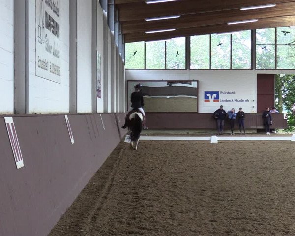 Reitturnier Lembeck-RA Elwermann 2023