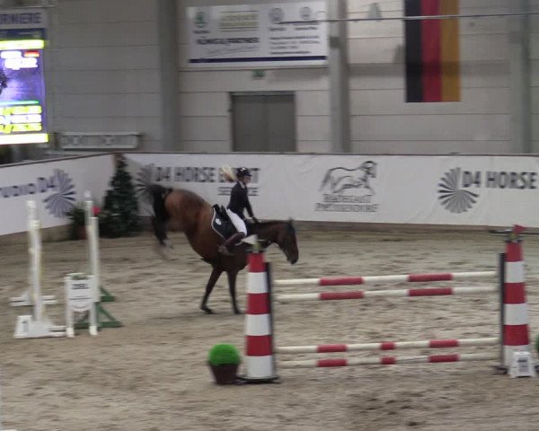 Reitturnier Prussendorf 2023
