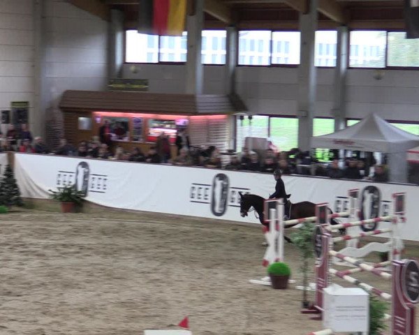 Reitturnier Prussendorf 2023