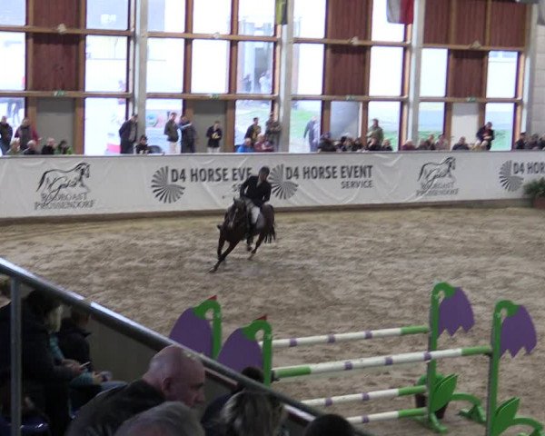 Reitturnier Prussendorf 2023
