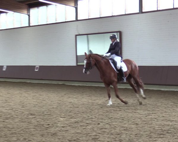 Reitturnier Lembeck-RA Elwermann 2023