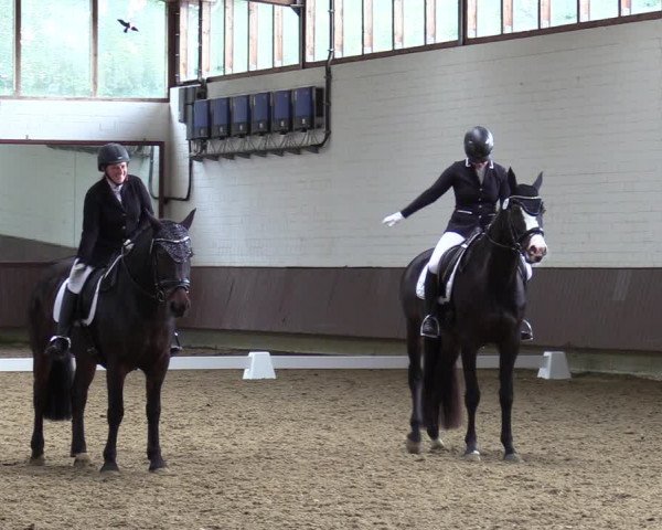 Reitturnier Lembeck-RA Elwermann 2023