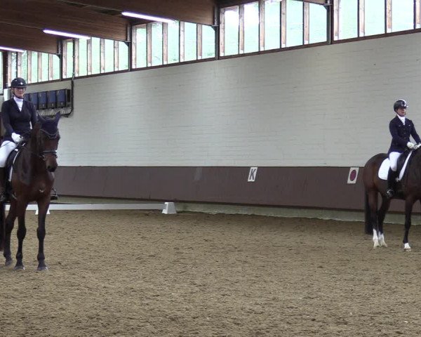 Reitturnier Lembeck-RA Elwermann 2023