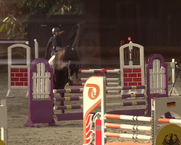 Reitturnier Tremsdorf, Eichenhof 2023