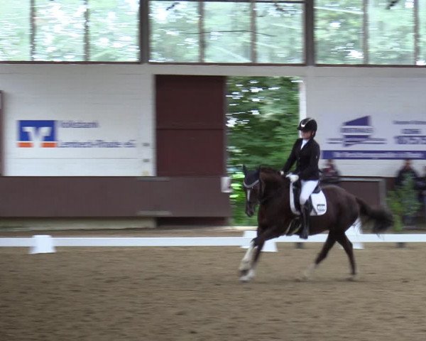 Reitturnier Lembeck-RA Elwermann 2023