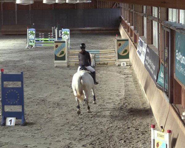 Reitturnier Tremsdorf, Eichenhof 2023
