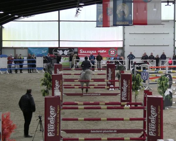 Reitturnier Borken 2023