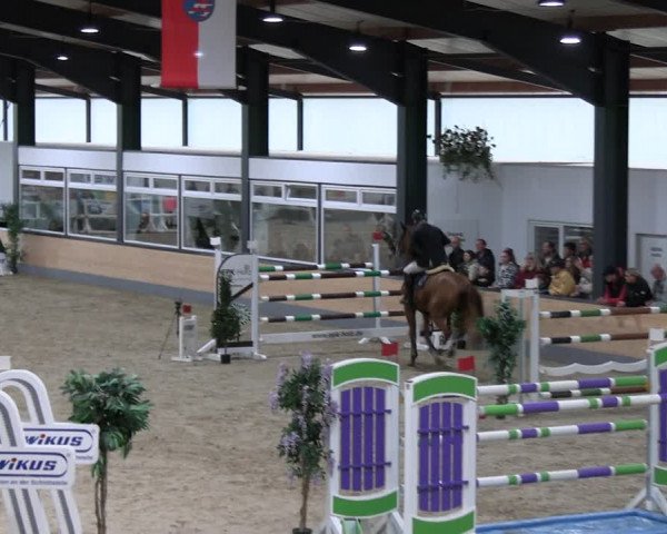 Reitturnier Borken 2023