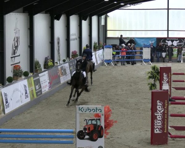 Reitturnier Borken 2023